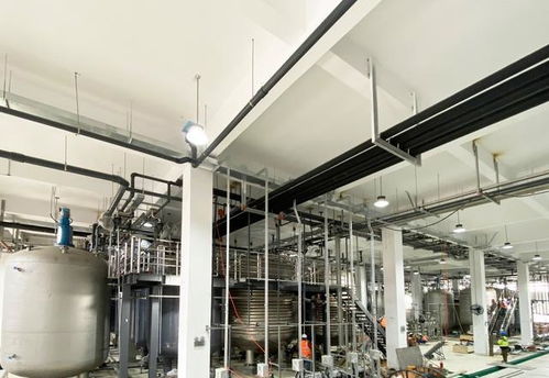 免疫細胞缺陷或可加速3倍衰老 西班牙科學家揭示衰老新機制